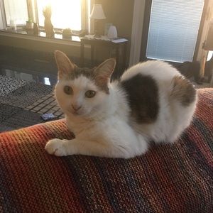 Meet your Posher, Gail